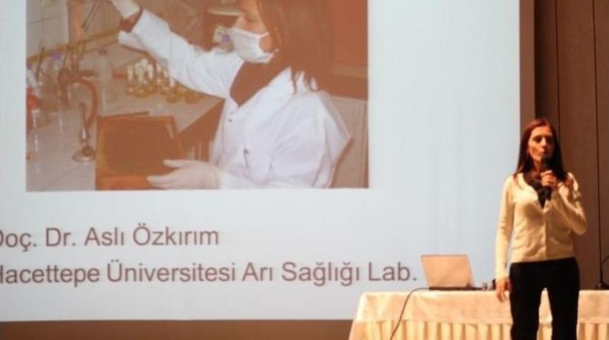 &Uuml;reticilere Arı Sağlığı Semineri