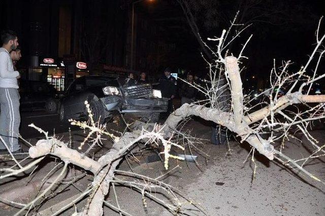 (özel Haber) Ağaca Çarptı, Otomobili Bırakıp Kaçtı