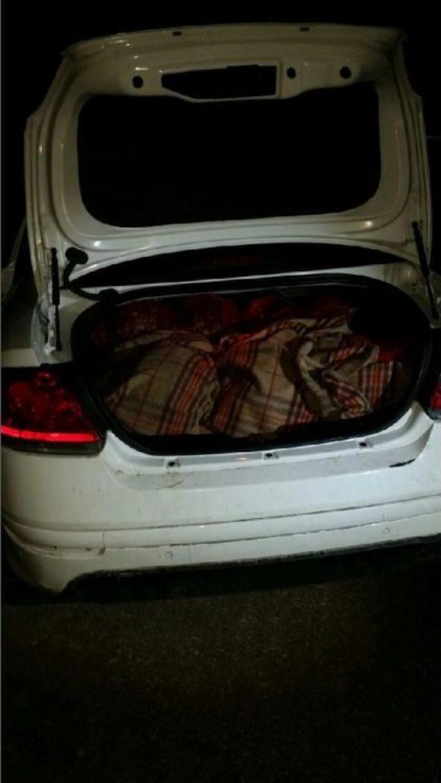 Otomobilde 1 Ton Kaçak Midye Ele Geçirildi 2