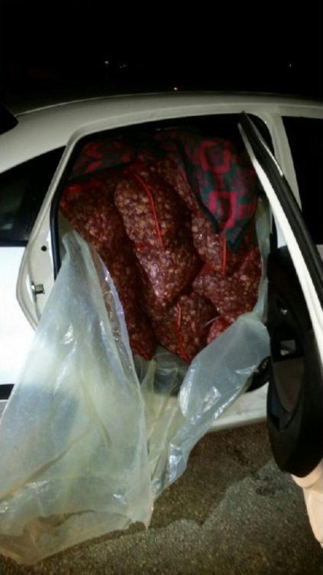 Otomobilde 1 Ton Kaçak Midye Ele Geçirildi 3