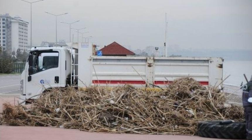 B&uuml;y&uuml;kşehir&rsquo;den Sahilde Temizlik