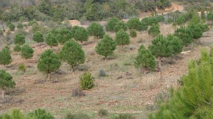 Tun&ccedil;&rsquo;tan, 400 Kişilik İstihdam M&uuml;jdesi