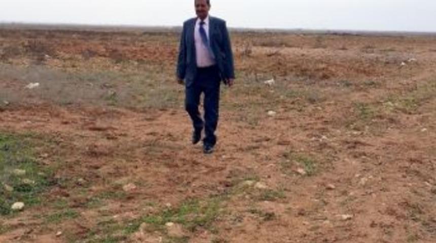 Şiddet G&ouml;ren Kadınlar İ&ccedil;in Yapılan Ekolojik K&ouml;y&uuml;n &Ccedil;alışmalarına Başlanıldı