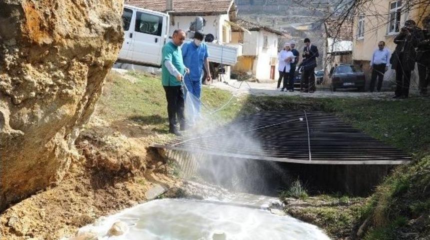 Kastamonu Belediyesi, Lavrasit M&uuml;cadelesi Başlattı