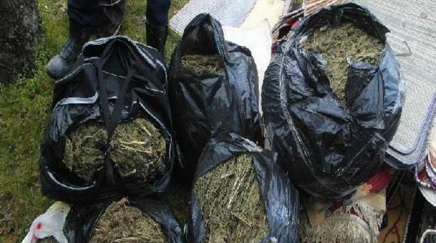 Battaniye Ve Kilim Arasında 55 Kilo Esrar