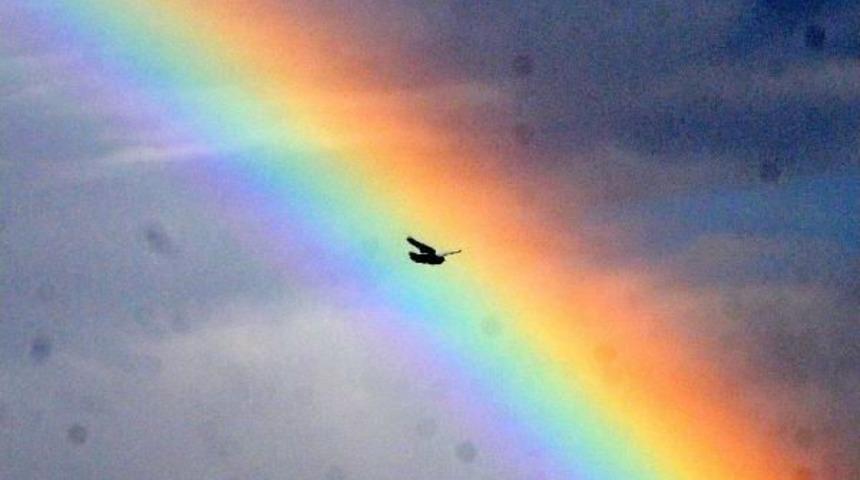 Gaziantep'te Yağmur Sonrası G&ouml;kkuşağı