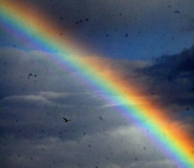 Gaziantep te Yağmur Sonrası G&ouml;kkuşağı 2