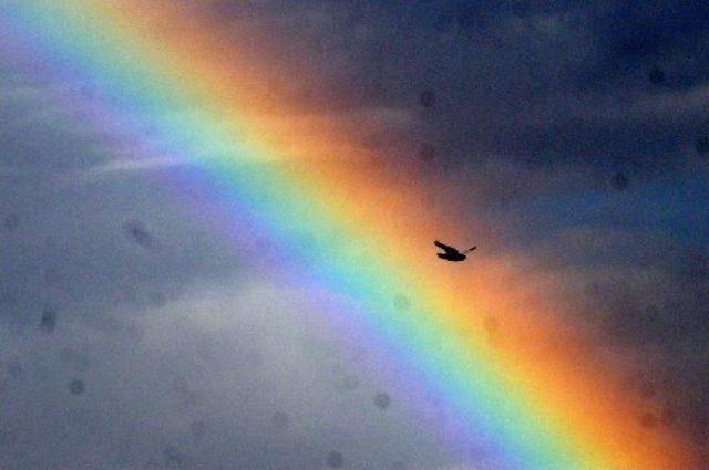 Gaziantep te Yağmur Sonrası G&ouml;kkuşağı 3
