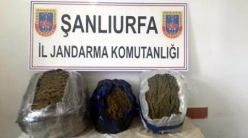 Şanlıurfa&rsquo;da 25 Kilo Kubar Esrar Ele Ge&ccedil;irildi