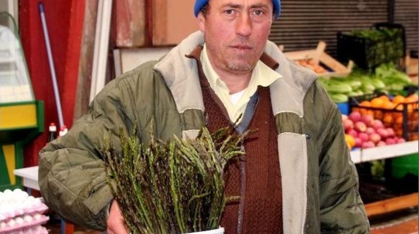 Sarmaşık Ve Kedirgen Tezgahta Yerini Aldı