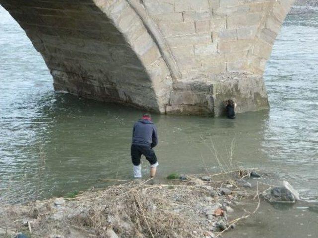 Nehirden Çıkan Köpeğin Üzerine Ceketini Örttü