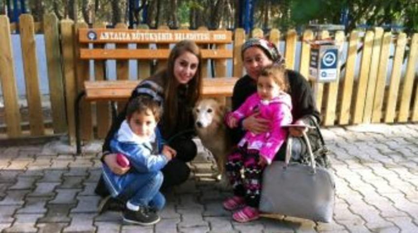 Sosyal Medya &Uuml;zerinde Sahipsiz Hayvanlara Yuva Aranıyor