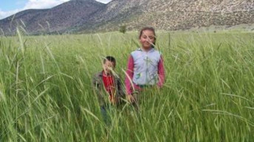 Yağışlar Aydınlı &Uuml;reticinin Y&uuml;z&uuml;n&uuml; G&uuml;ld&uuml;rd&uuml;