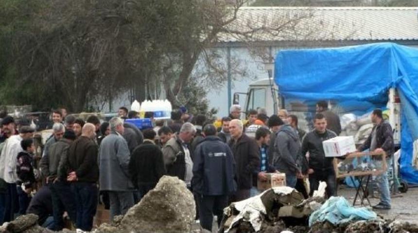 Tutsak Kuşlara &Ouml;zg&uuml;rl&uuml;k