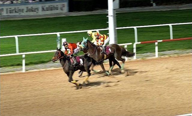 Tsyd Adana Şubesi Koşusu&rsquo;nu "ilknur Sultan" Kazandı 1