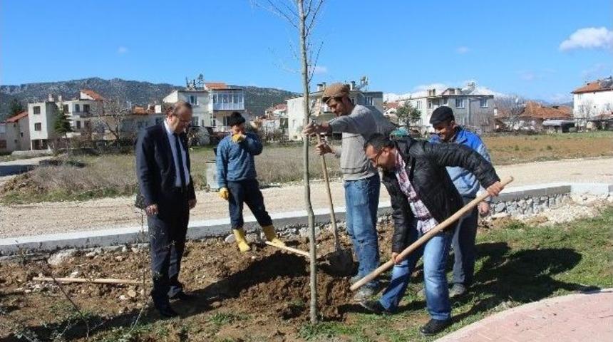 Bucak&rsquo;ta Parklar Ağa&ccedil;landırılıyor