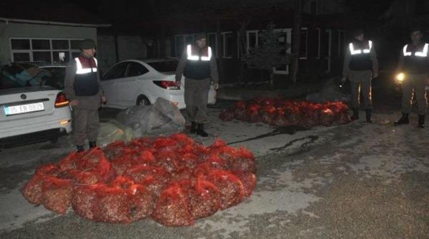 Ka&ccedil;ak&ccedil;ılığın Yeni G&ouml;zdesi &lsquo;Midye&rsquo;