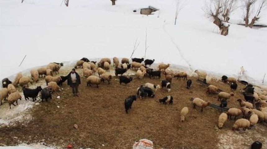 Sarıyayla K&ouml;yl&uuml;lerinin Karla M&uuml;cadelesi Devam Ediyor