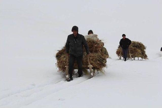 Sarıyayla Köylülerinin Karla Mücadelesi Devam Ediyor