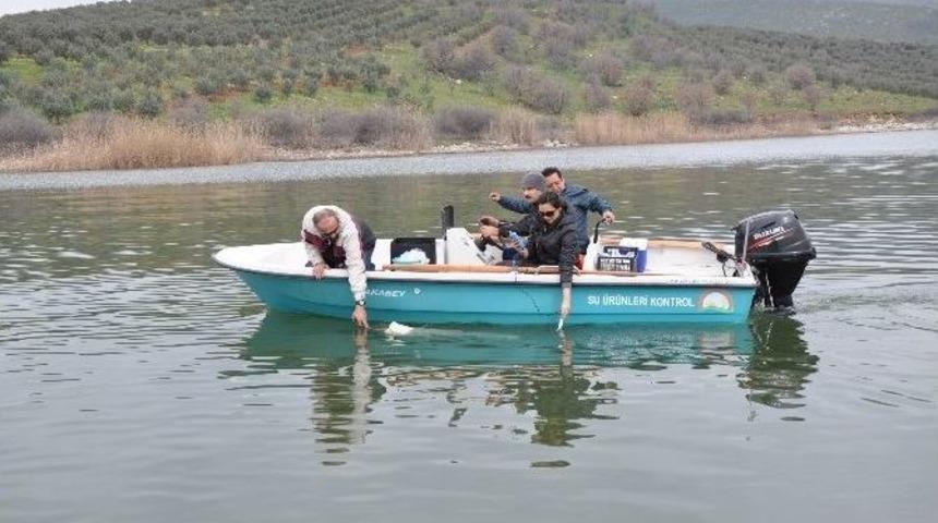 Marmara G&ouml;l&uuml; Ekosisteme Kazandırılacak