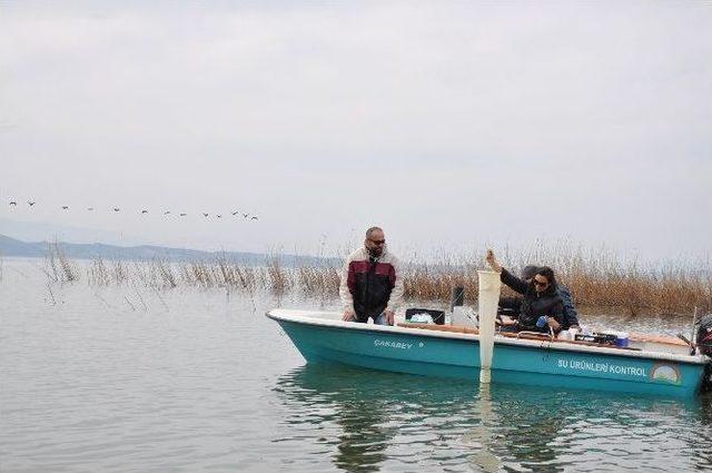 Marmara Gölü Ekosisteme Kazandırılacak