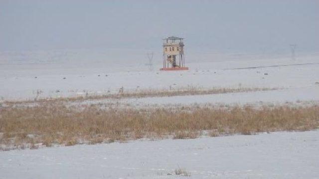 Kuş Cennetine 42 Kilometreden Borularla Su Getirilecek