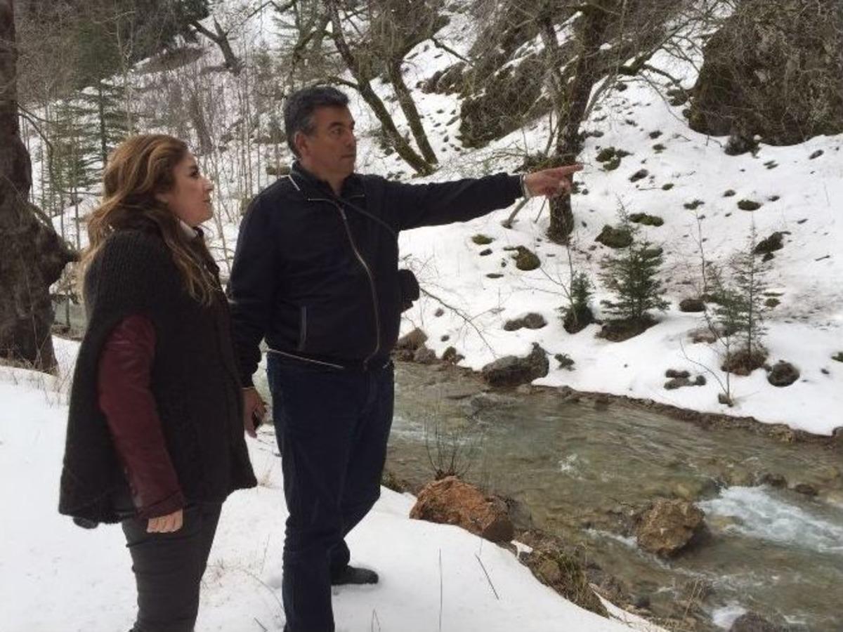 Kardelenler Koruma Altında