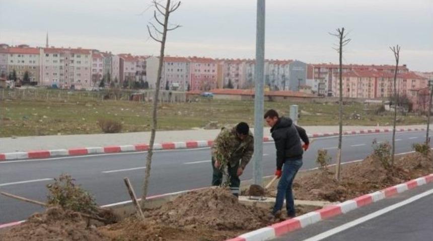 Kırklareli&rsquo;de Toki Yolu Ihlamur Kokacak