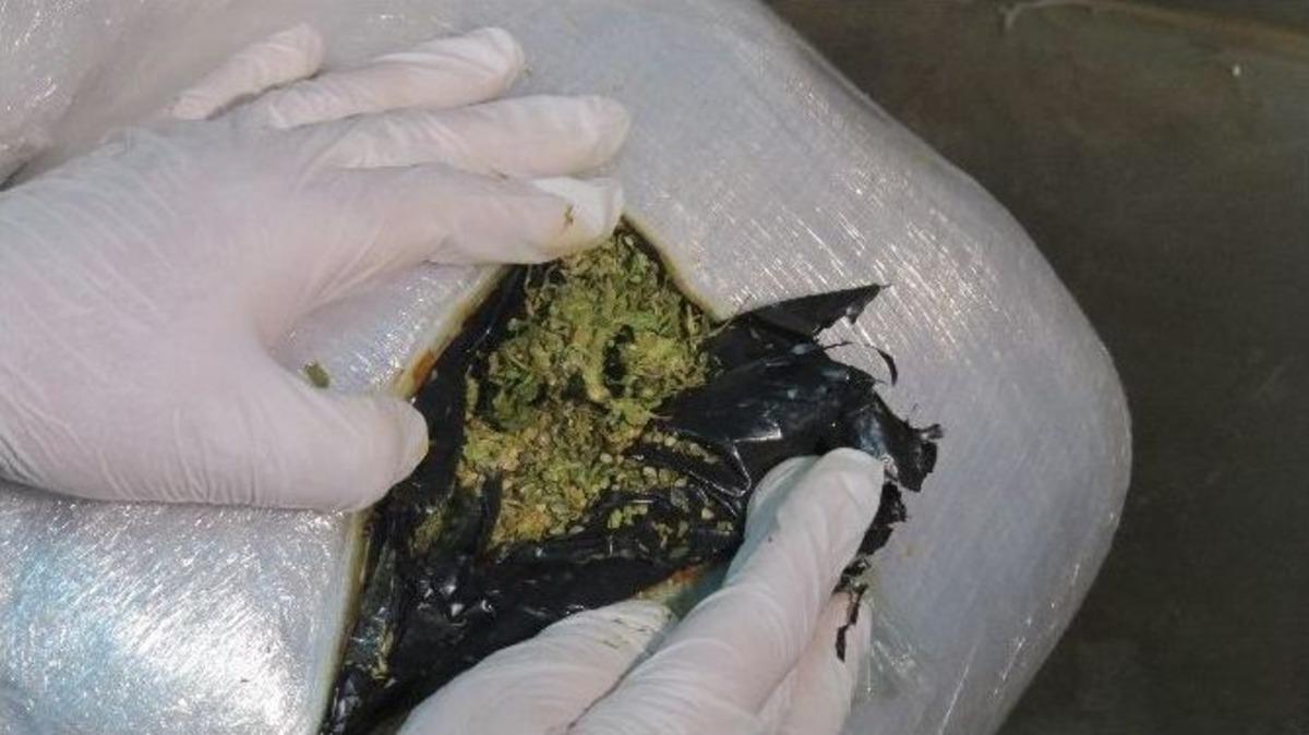 Dev Uyuşturucu Operasyonu