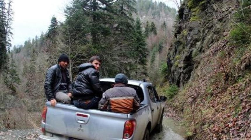 Yedig&ouml;ller'de Hayvanlar Sayıldı