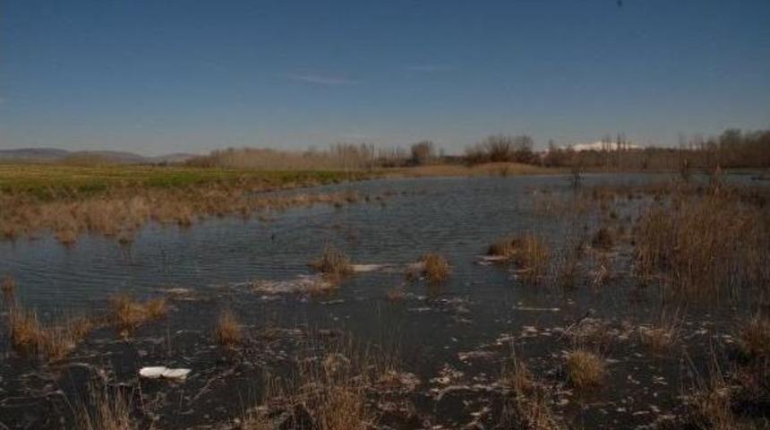 Baraj Kapakları Açıldı, Tarım Arazilerini Su Bastı