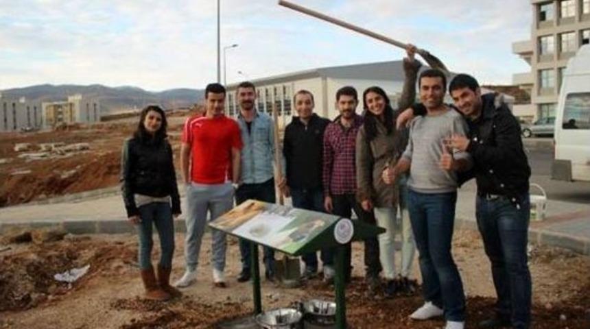 Sokak Hayvanları İ&ccedil;in Mama Kapları Hazırlandı