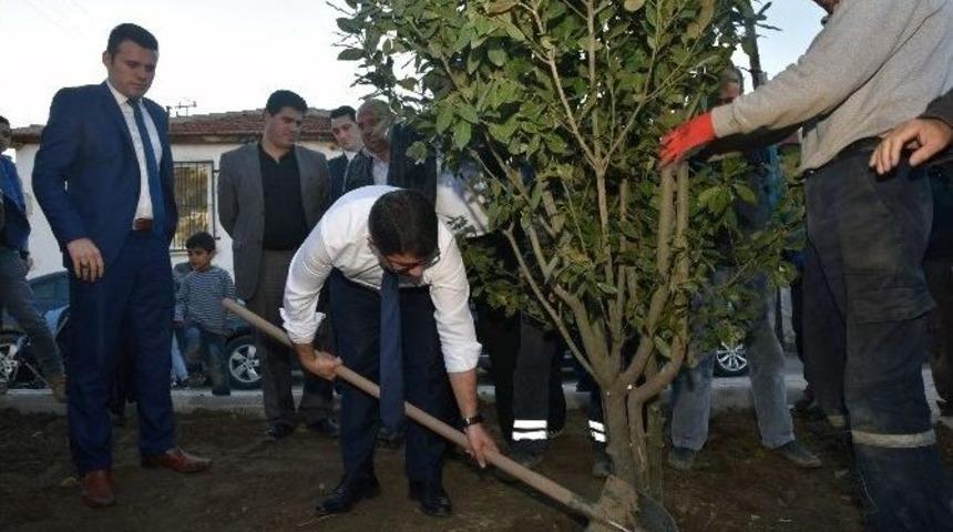 Başkan &Ccedil;elik Ağa&ccedil;ları Ve Parkı &Ccedil;ocuklara Emanet Etti