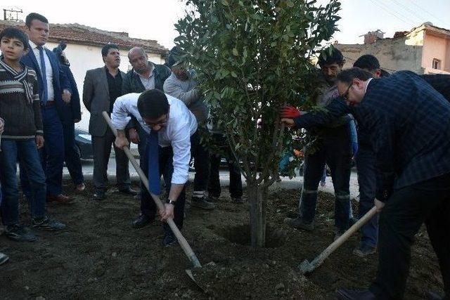 Başkan Çelik Ağaçları Ve Parkı Çocuklara Emanet Etti