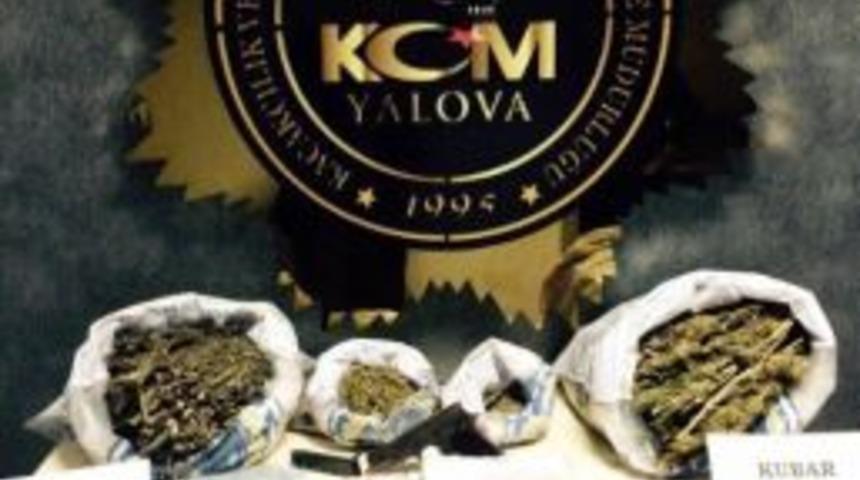 Yalova Polisinden Dev Uyuşturucu Operasyonu