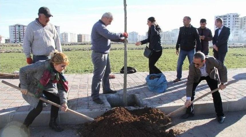 Bağlar&rsquo;a 10 Bine Yakın Ağa&ccedil; Dikilecek