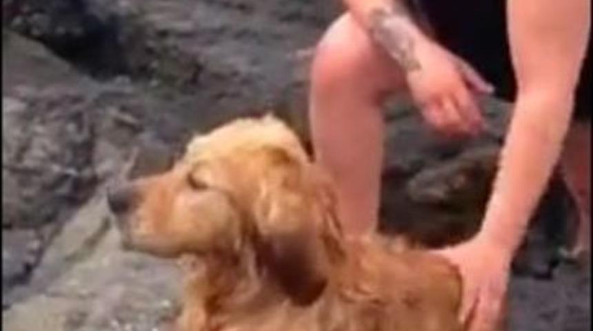 Deniz&rsquo;de K&ouml;pek Kurtarma Operasyonu