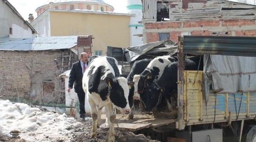 Bir İlk&rsquo;de 184 Sayılı Bayburt Tarım Kredi Kooperatifinden
