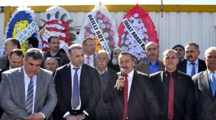 Seydişehir Canlı Hayvan Pazarı A&ccedil;ıldı