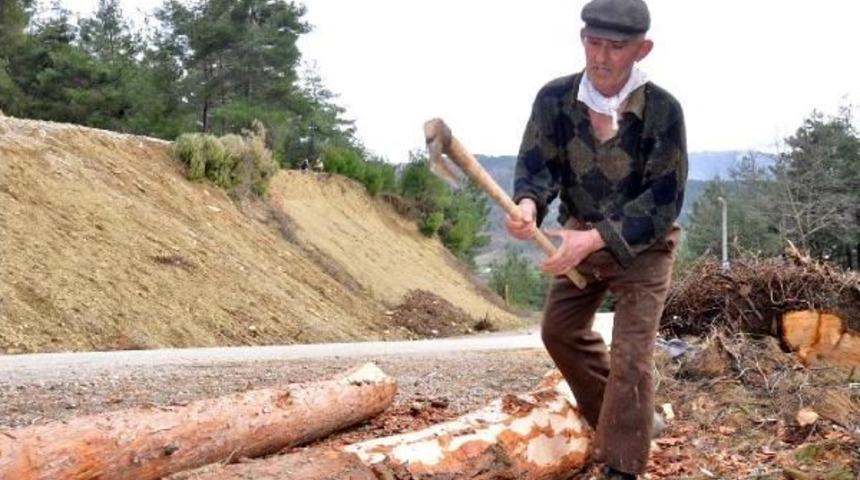 Emekli Madenci, Ek Gelir I&ccedil;in Ormanda Balta Sallıyor