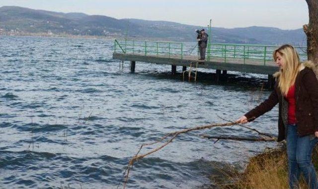 Sapanca Gölü'nde Su Seviyesi Maksimum Koda Ulaştı