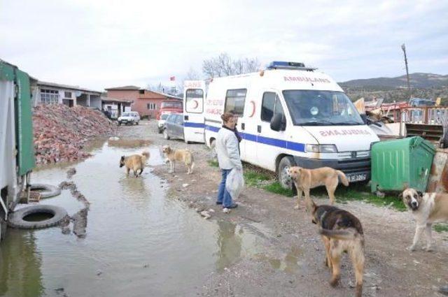 Bursa’Da İznik Havan Barınağının Içler Acısı Hali