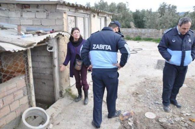 Bursa’Da İznik Havan Barınağının Içler Acısı Hali