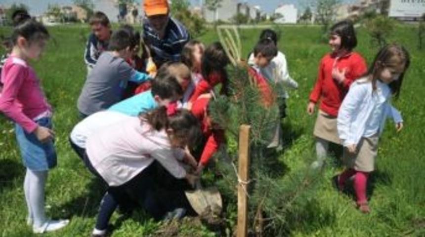 Nil&uuml;fer&rsquo;den Yeşil Seferberlik