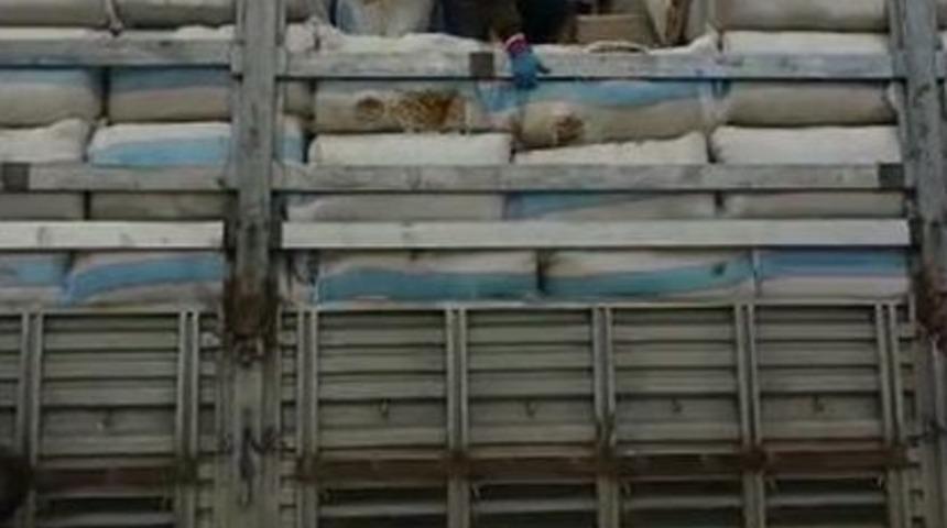 Gaziantepte 25 Bin Karton Ka&ccedil;ak Sigara Ele Ge&ccedil;irildi