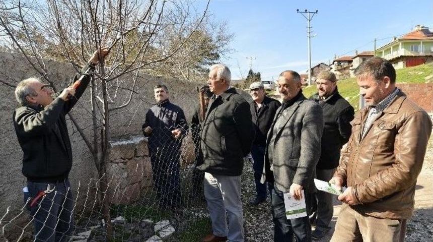 Tepebaşı Çiftçinin Yanında