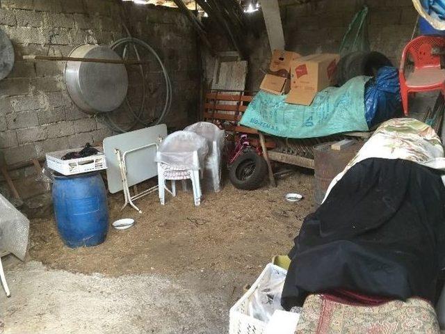 (özel Haber) 100 Bin Liralık Altınları Samanlığa Sakladı, Hırsızlara Kaptırdı 1