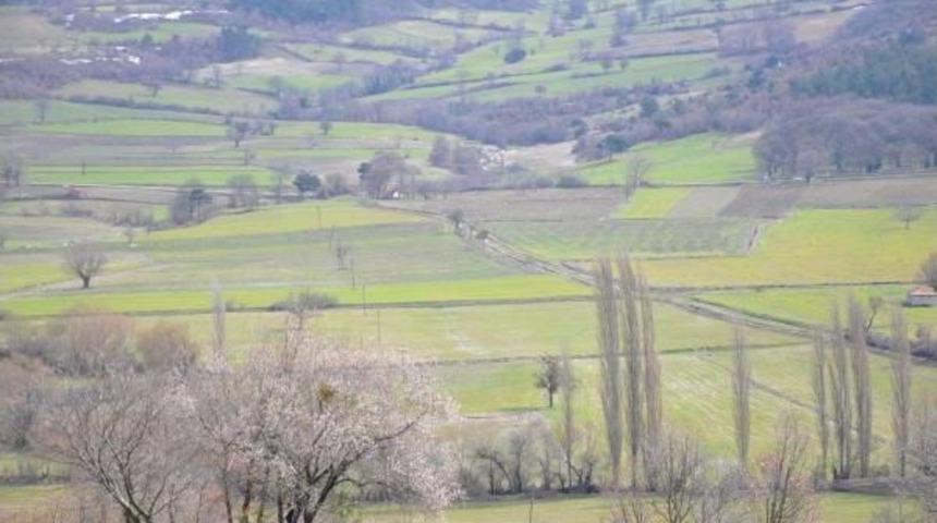 Kolin'in Santral Yeri Araması D&ouml;rt Mahalleye Umut Oldu