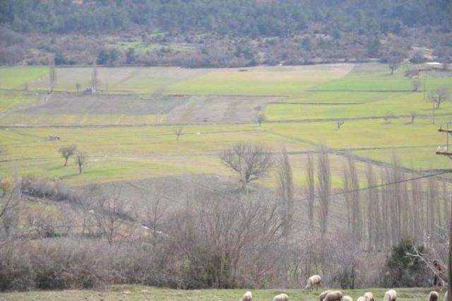 Kolin'in Santral Yeri Araması Dört Mahalleye Umut Oldu