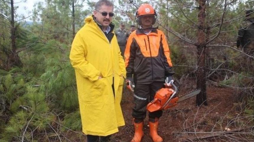 Mersin&rsquo;de Silvik&uuml;lt&uuml;r Ve Ağa&ccedil;landırma Eğitim Seminerleri Tamamlandı